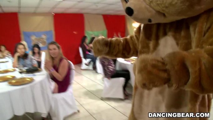¡únete A Las Fiestas Con El Famoso Dancing Bear En Este Video De Alta Definición! (Db9822)