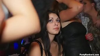 Orgía Salv...