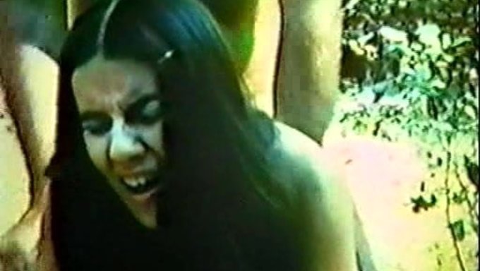 Encuentro Apasionado: Escena De Una Amante Caliente