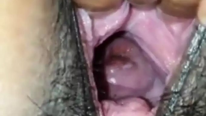 Primer Plano Del Coño Y El Culo De La Bhabhi India Durante El Sexo