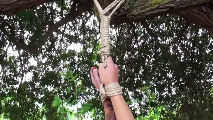 Escena Bdsm: Mujer Desnudada Y Castigada Al Aire Libre