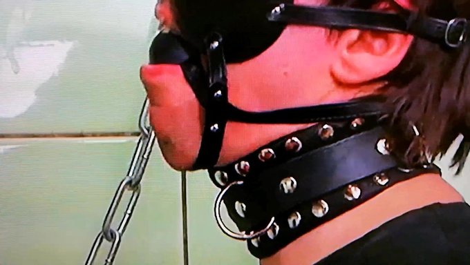 Pene Pequeño Y Testículos Destinados Al Sexo En Grupo