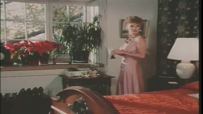 Estrellas Del Porno Retro En Alta Definición